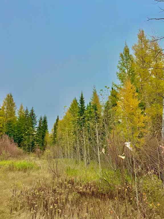 MLS® A2264715 - 416 Valley View Close  in Diamond Willow Estates Rural Clearwater County, Land