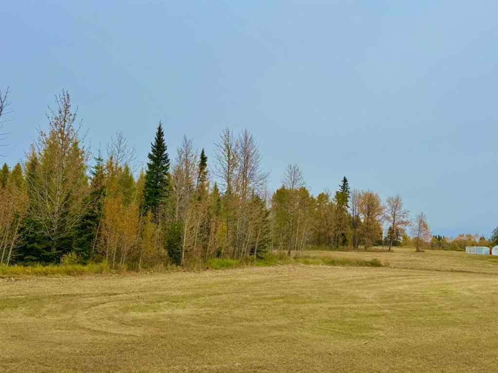 MLS® A2264715 - 416 Valley View Close  in Diamond Willow Estates Rural Clearwater County, Land