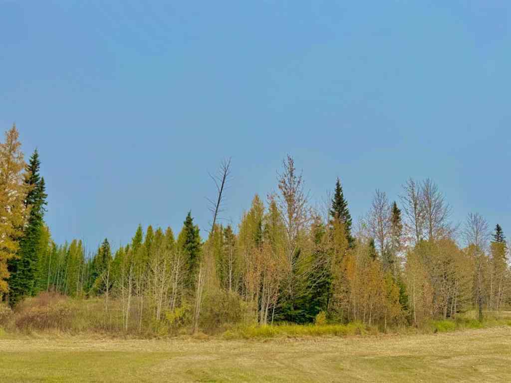 MLS® A2264715 - 416 Valley View Close  in Diamond Willow Estates Rural Clearwater County, Land
