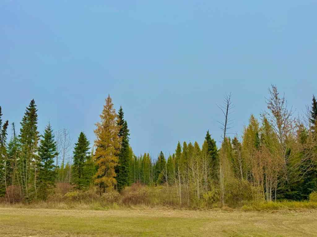 MLS® A2264715 - 416 Valley View Close  in Diamond Willow Estates Rural Clearwater County, Land