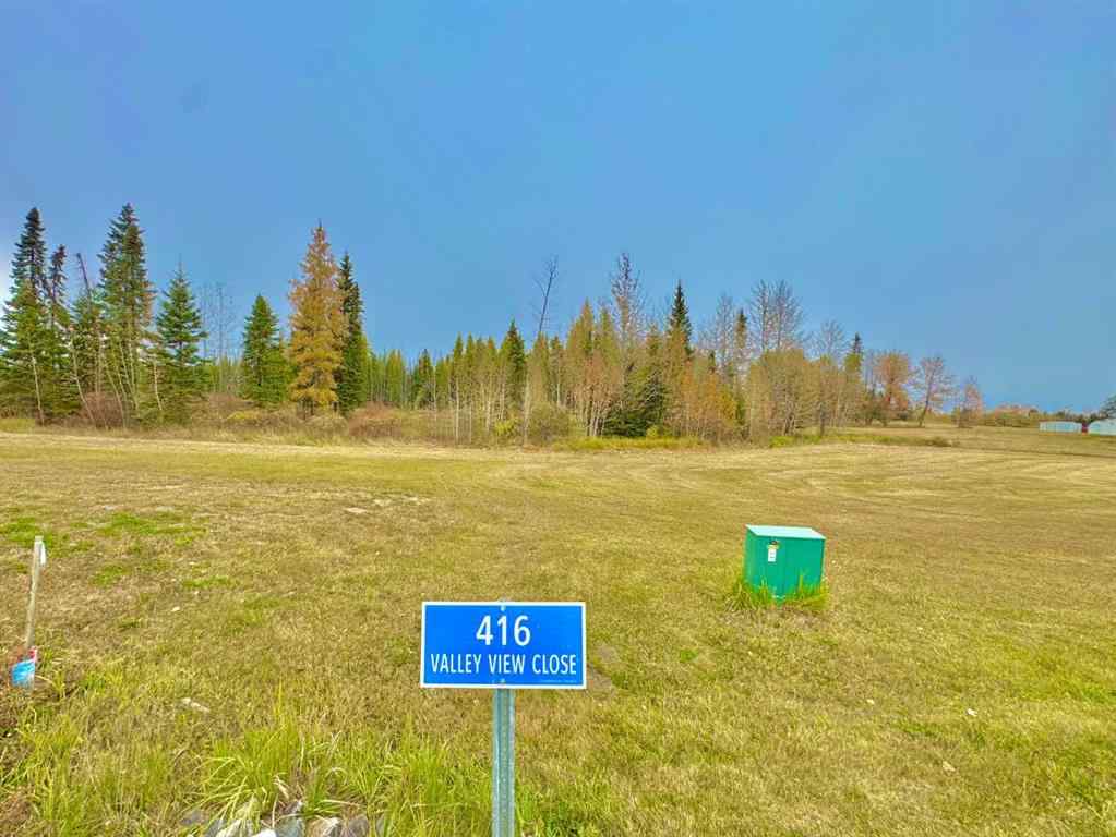 MLS® A2264715 - 416 Valley View Close  in Diamond Willow Estates Rural Clearwater County, Land