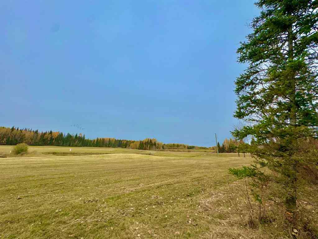 MLS® A2264716 - 401 Valley View Close  in Diamond Willow Estates Rural Clearwater County, Land