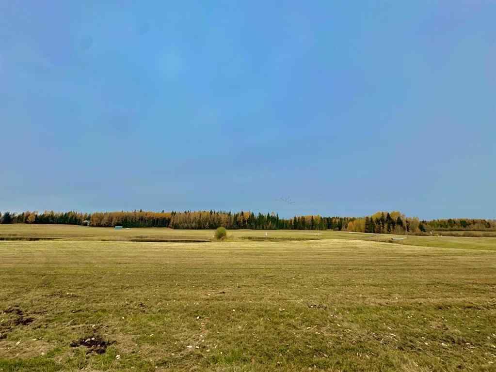 MLS® A2264716 - 401 Valley View Close  in Diamond Willow Estates Rural Clearwater County, Land