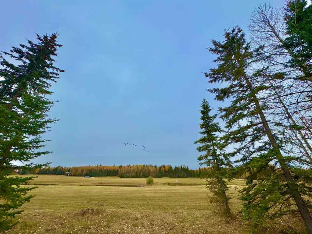 MLS® A2264716 - 401 Valley View Close  in Diamond Willow Estates Rural Clearwater County, Land