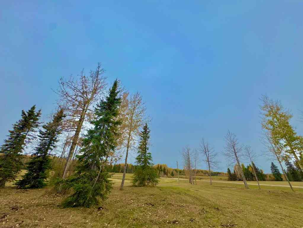 MLS® A2264716 - 401 Valley View Close  in Diamond Willow Estates Rural Clearwater County, Land