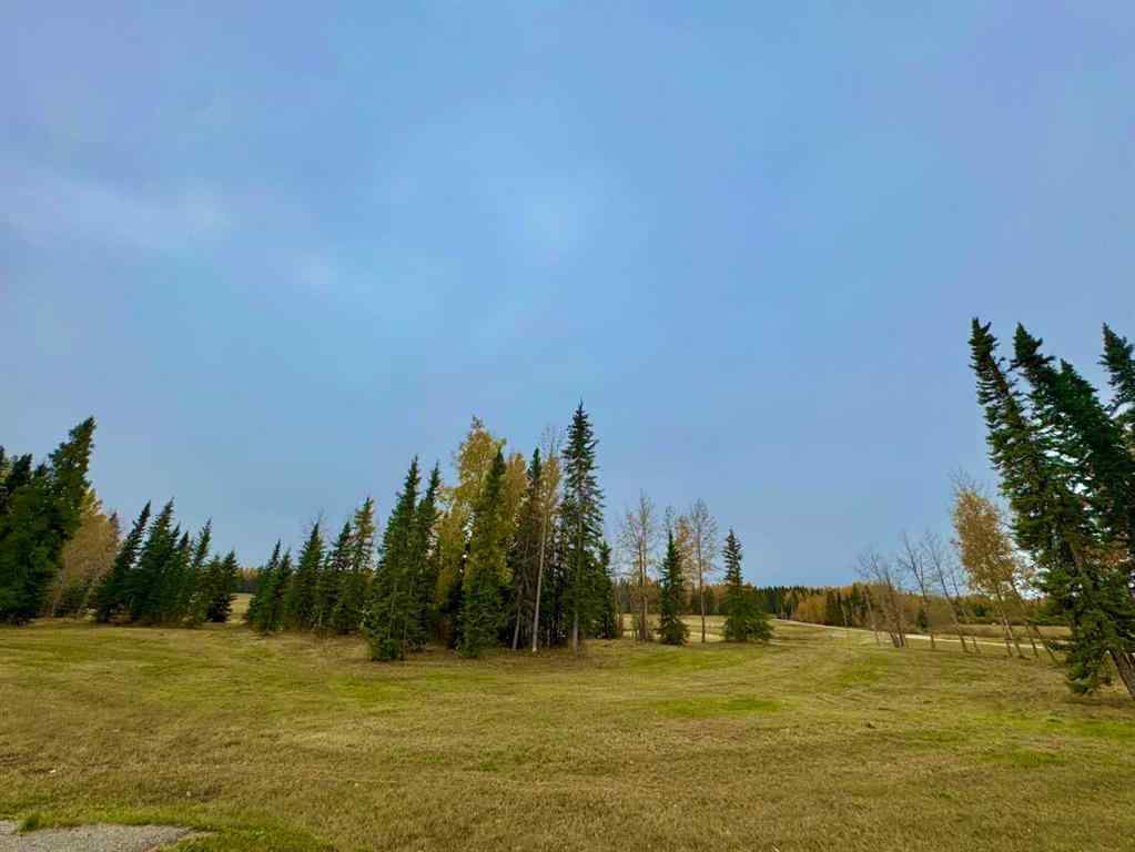 MLS® A2264716 - 401 Valley View Close  in Diamond Willow Estates Rural Clearwater County, Land
