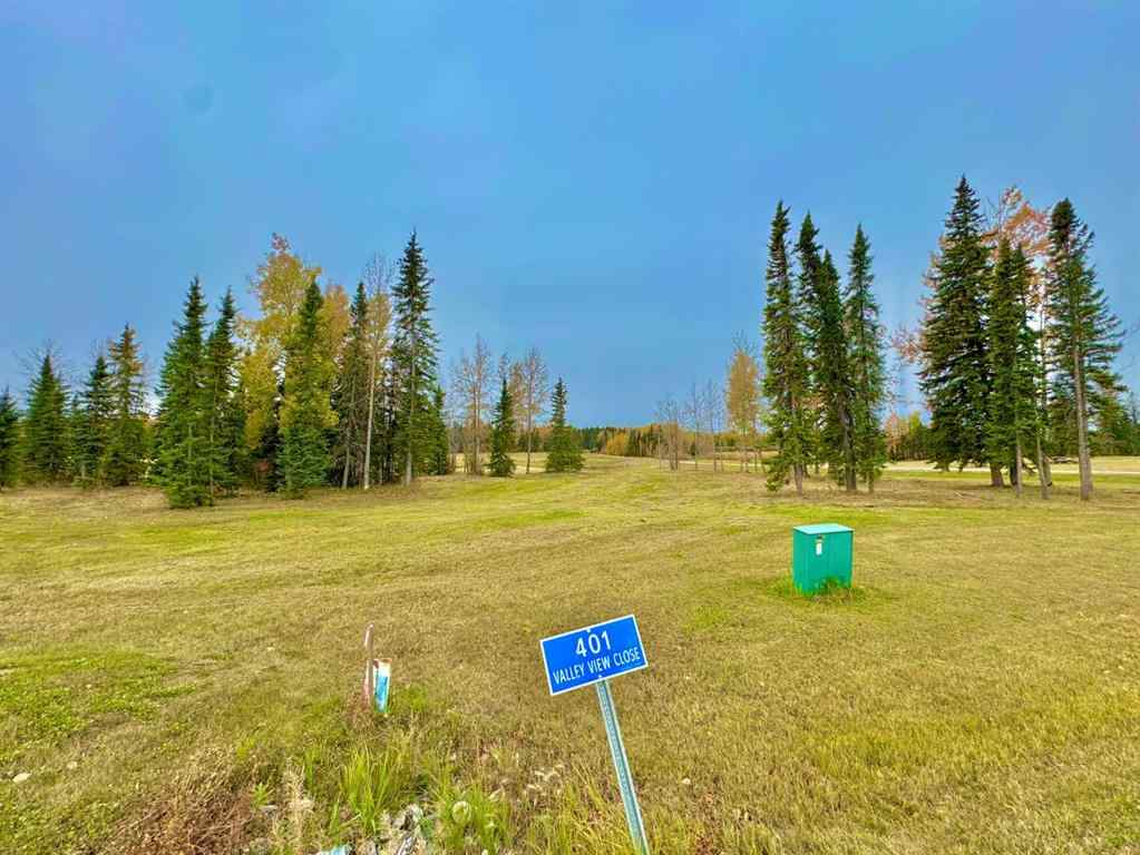 MLS® A2264716 - 401 Valley View Close  in Diamond Willow Estates Rural Clearwater County, Land