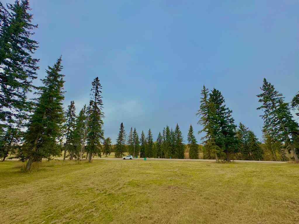MLS® A2264718 - 308 Valley View Drive  in Diamond Willow Estates Rural Clearwater County, Land