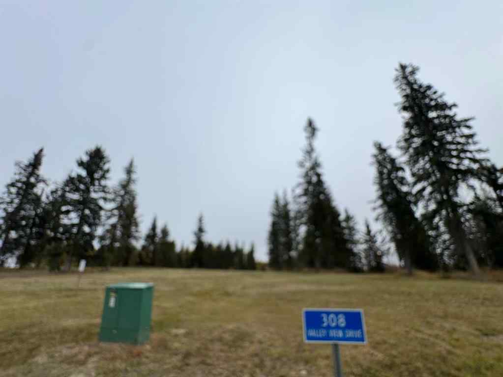 MLS® A2264718 - 308 Valley View Drive  in Diamond Willow Estates Rural Clearwater County, Land