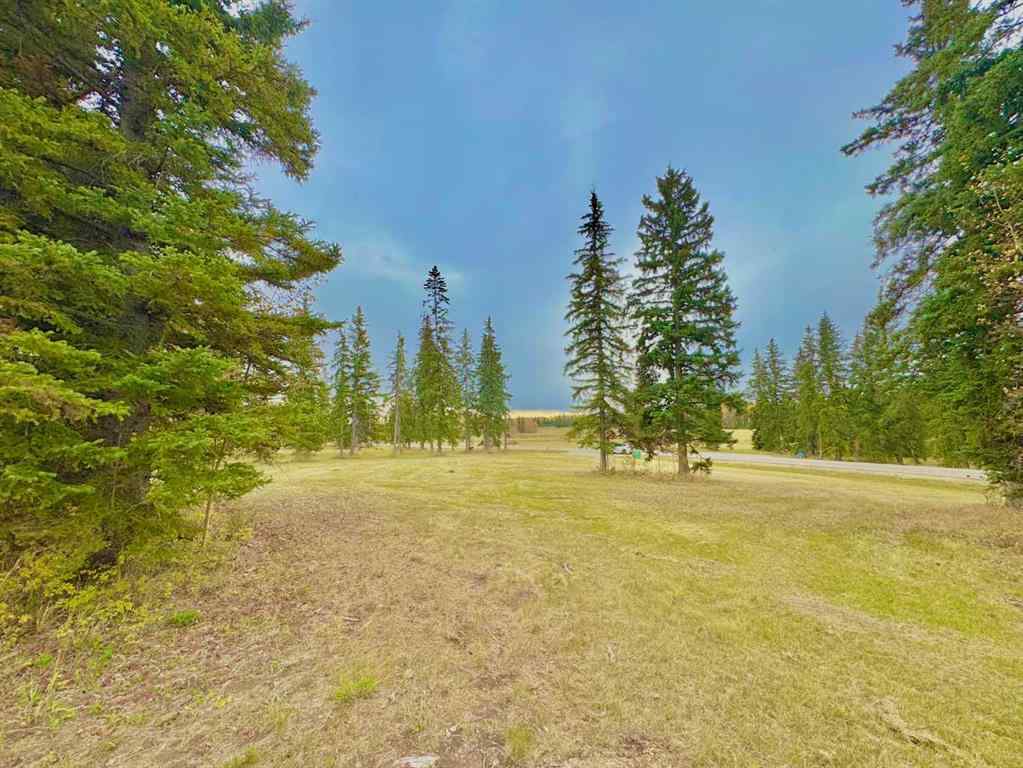 MLS® A2264718 - 308 Valley View Drive  in Diamond Willow Estates Rural Clearwater County, Land