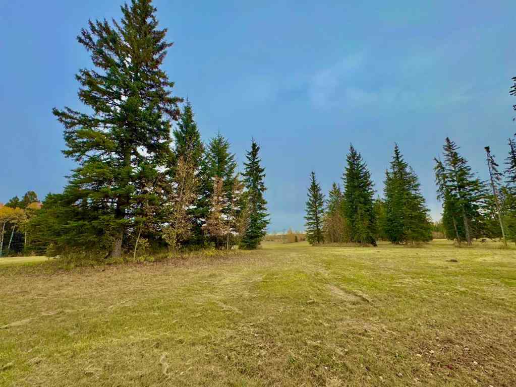 MLS® A2264718 - 308 Valley View Drive  in Diamond Willow Estates Rural Clearwater County, Land