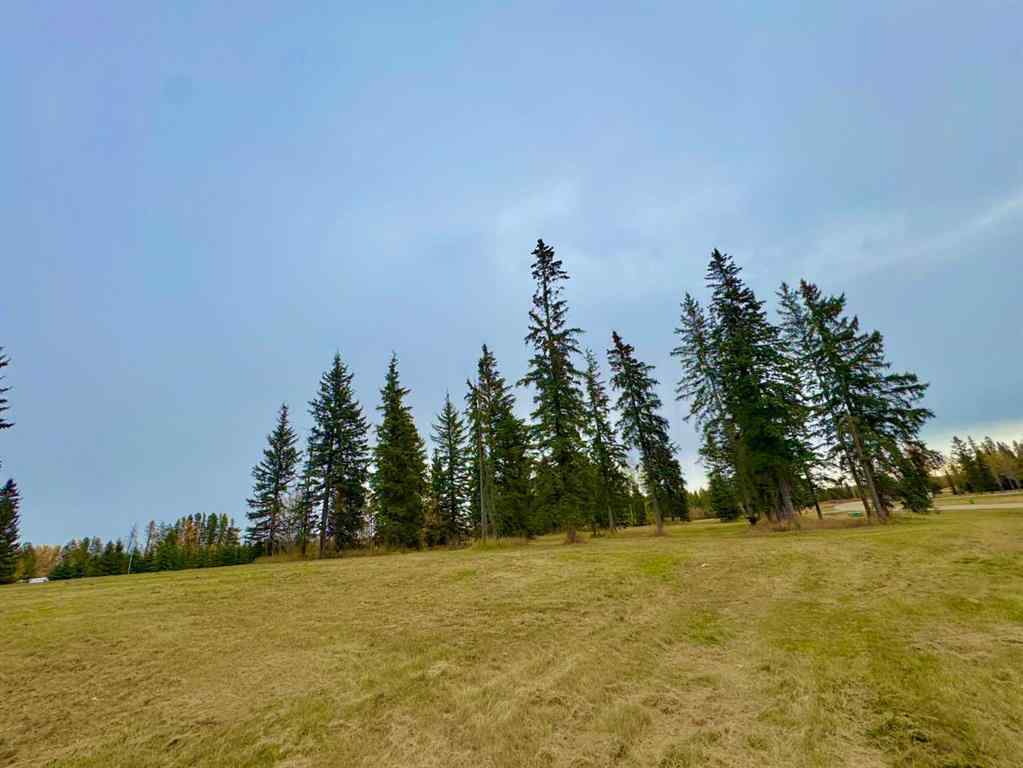 MLS® A2264718 - 308 Valley View Drive  in Diamond Willow Estates Rural Clearwater County, Land