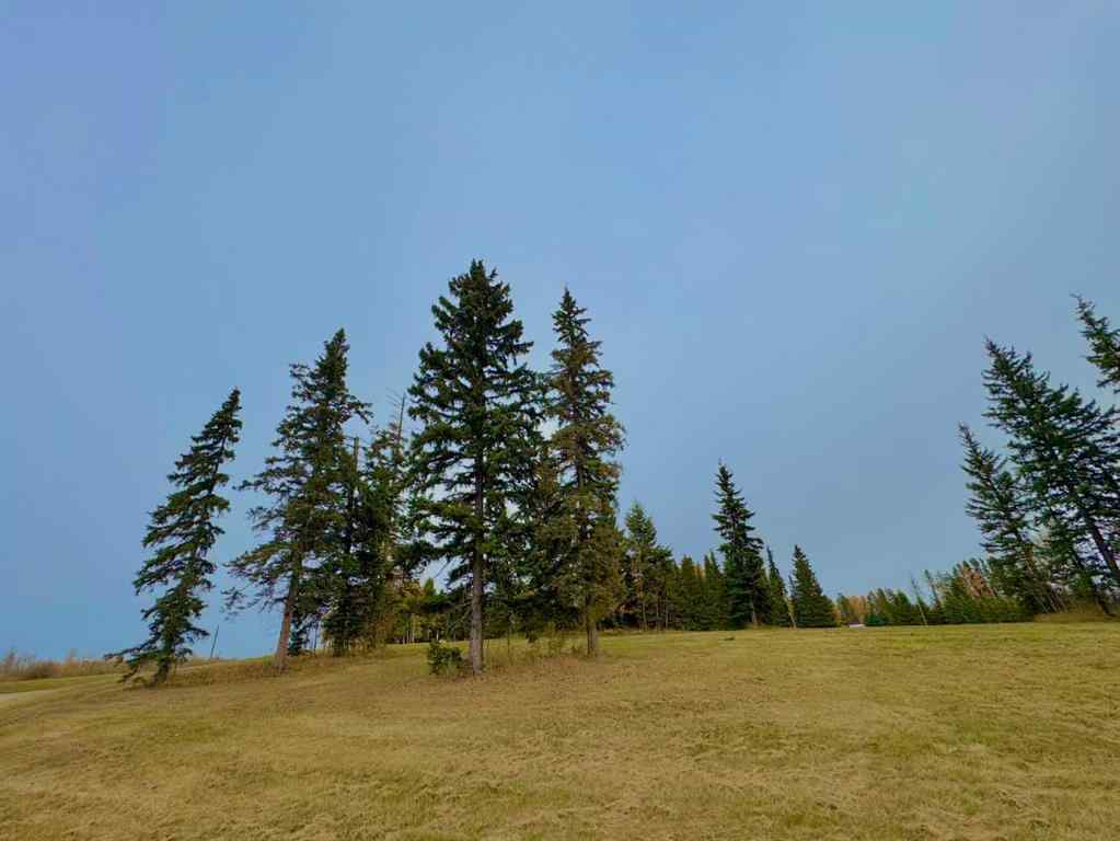 MLS® A2264718 - 308 Valley View Drive  in Diamond Willow Estates Rural Clearwater County, Land