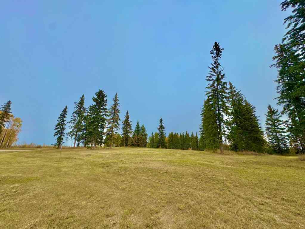 MLS® A2264718 - 308 Valley View Drive  in Diamond Willow Estates Rural Clearwater County, Land