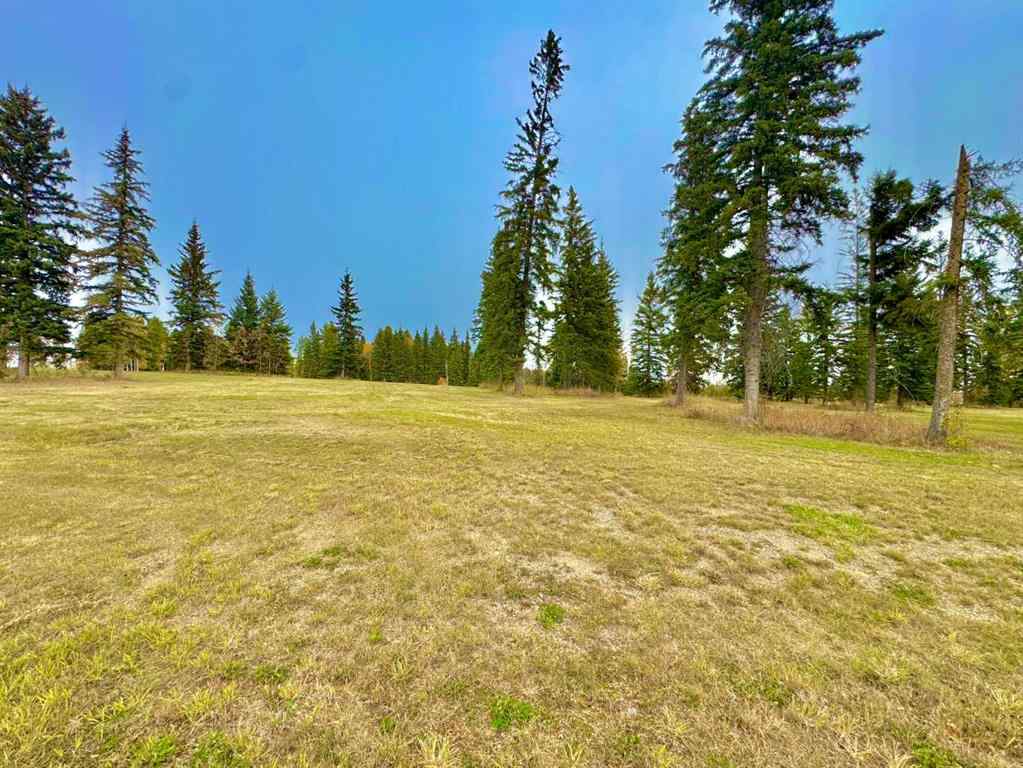 MLS® A2264718 - 308 Valley View Drive  in Diamond Willow Estates Rural Clearwater County, Land