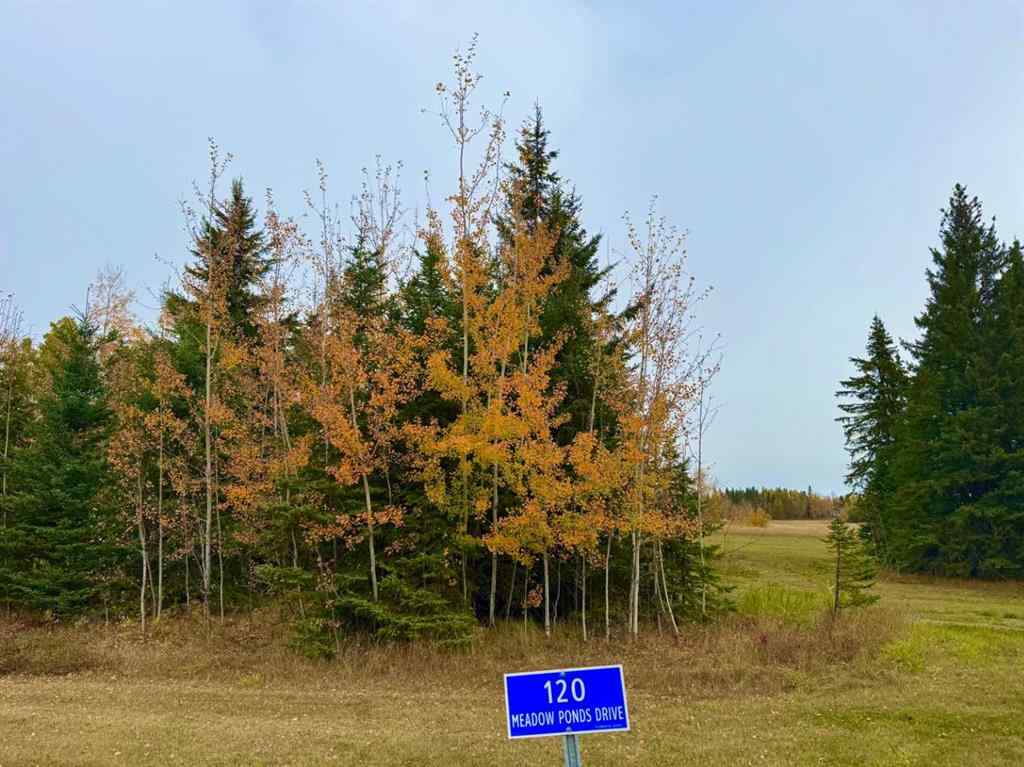 MLS® A2264720 - 120 Meadow Ponds Drive  in Diamond Willow Estates Rural Clearwater County, Land