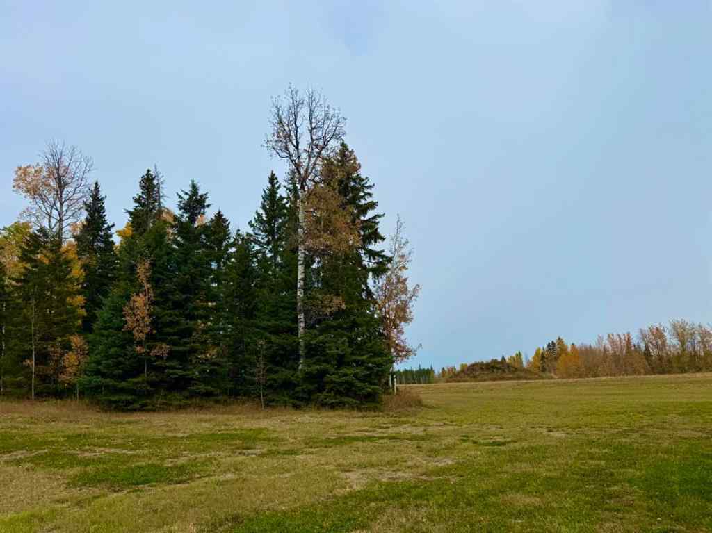 MLS® A2264720 - 120 Meadow Ponds Drive  in Diamond Willow Estates Rural Clearwater County, Land