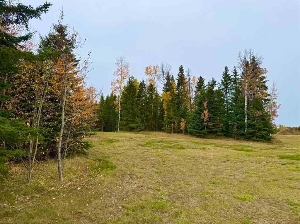 MLS® A2264720 - 120 Meadow Ponds Drive  in Diamond Willow Estates Rural Clearwater County, Land