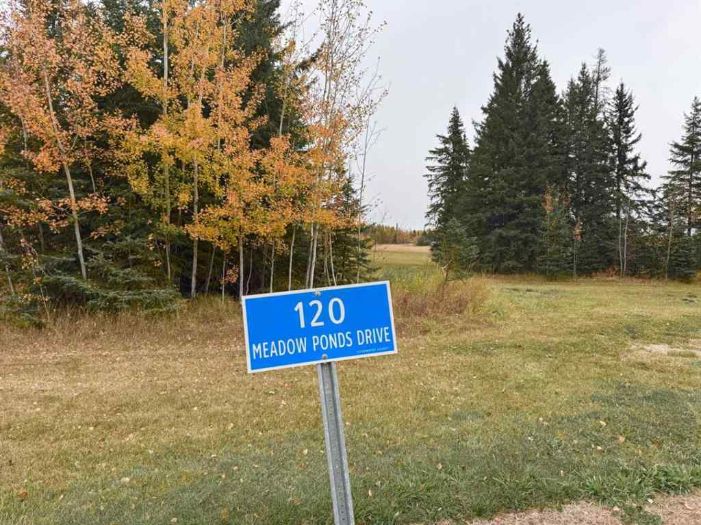 MLS® A2264720 - 120 Meadow Ponds Drive  in Diamond Willow Estates Rural Clearwater County, Land