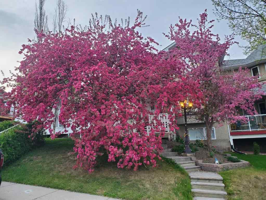 MLS® A2264722 - 202 30 Avenue NW in Tuxedo Park Calgary, Residential