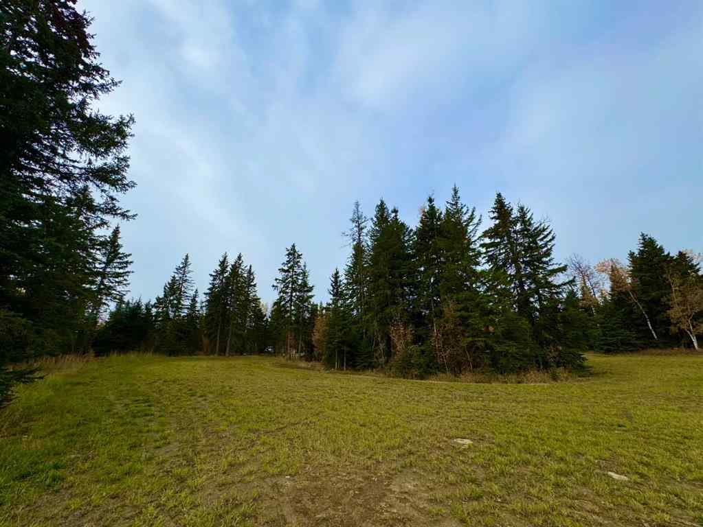 MLS® A2264723 - 116 Meadow Ponds Drive  in Diamond Willow Estates Rural Clearwater County, Land