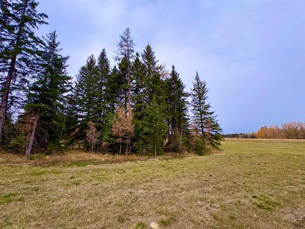 MLS® A2264723 - 116 Meadow Ponds Drive  in Diamond Willow Estates Rural Clearwater County, Land