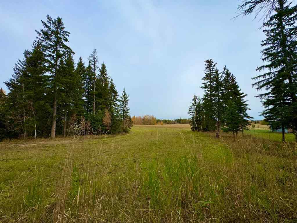 MLS® A2264723 - 116 Meadow Ponds Drive  in Diamond Willow Estates Rural Clearwater County, Land