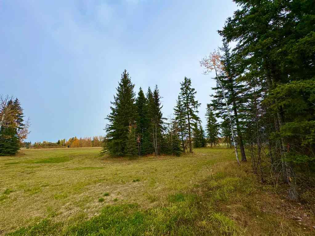 MLS® A2264723 - 116 Meadow Ponds Drive  in Diamond Willow Estates Rural Clearwater County, Land