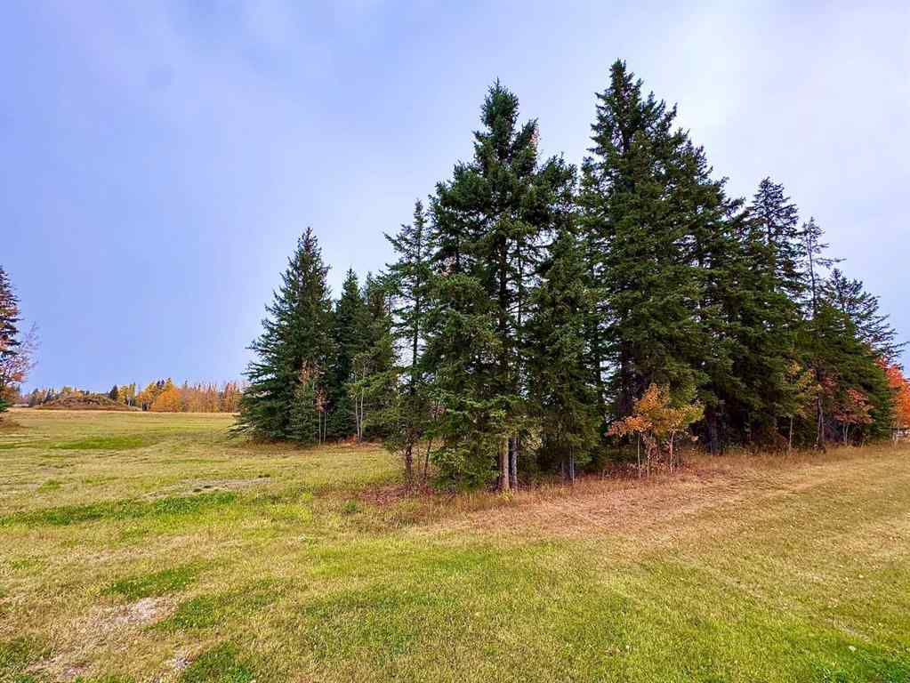 MLS® A2264723 - 116 Meadow Ponds Drive  in Diamond Willow Estates Rural Clearwater County, Land