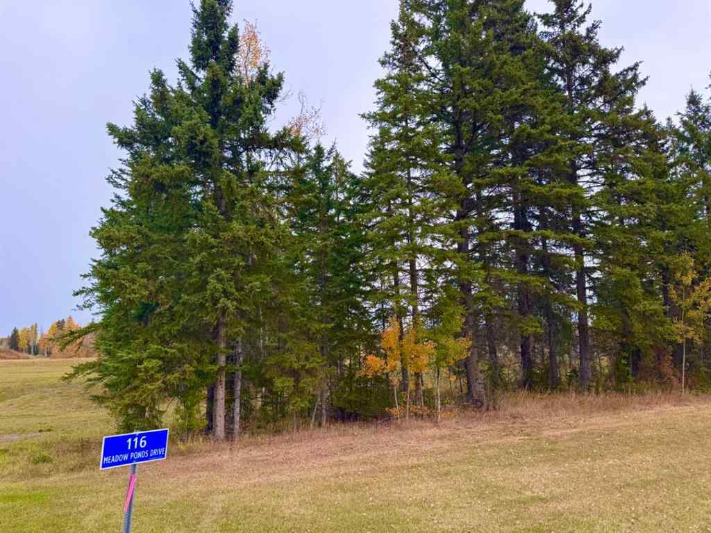 MLS® A2264723 - 116 Meadow Ponds Drive  in Diamond Willow Estates Rural Clearwater County, Land