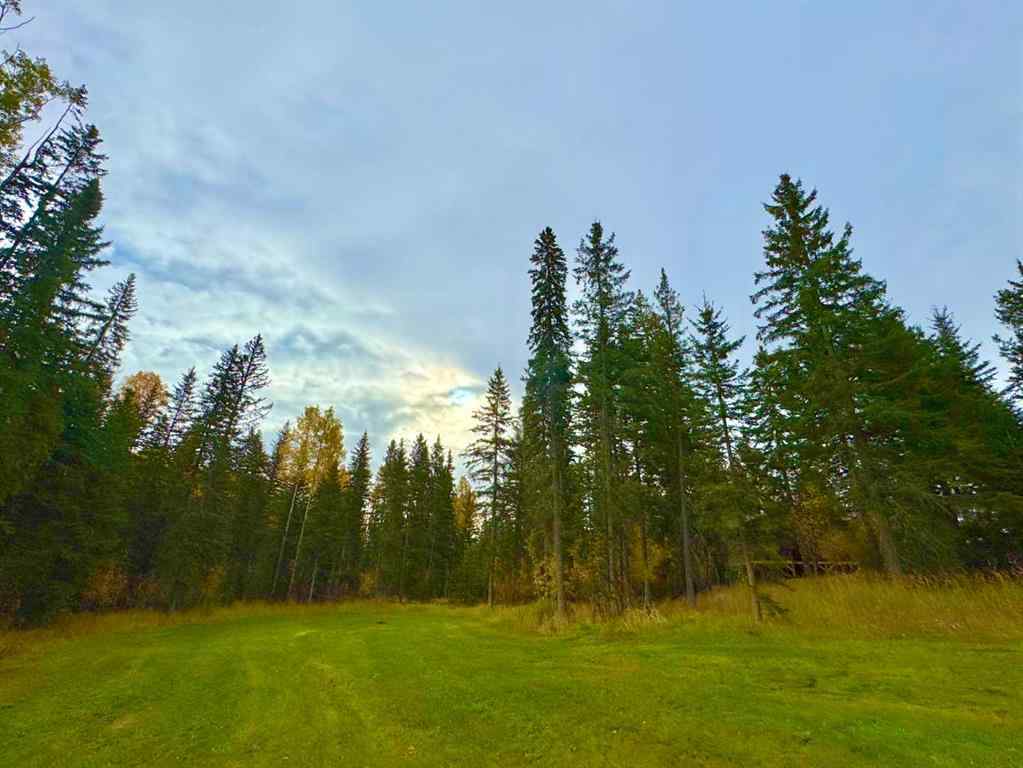 MLS® A2264724 - 156 Meadow Ponds Drive  in Diamond Willow Estates Rural Clearwater County, Land