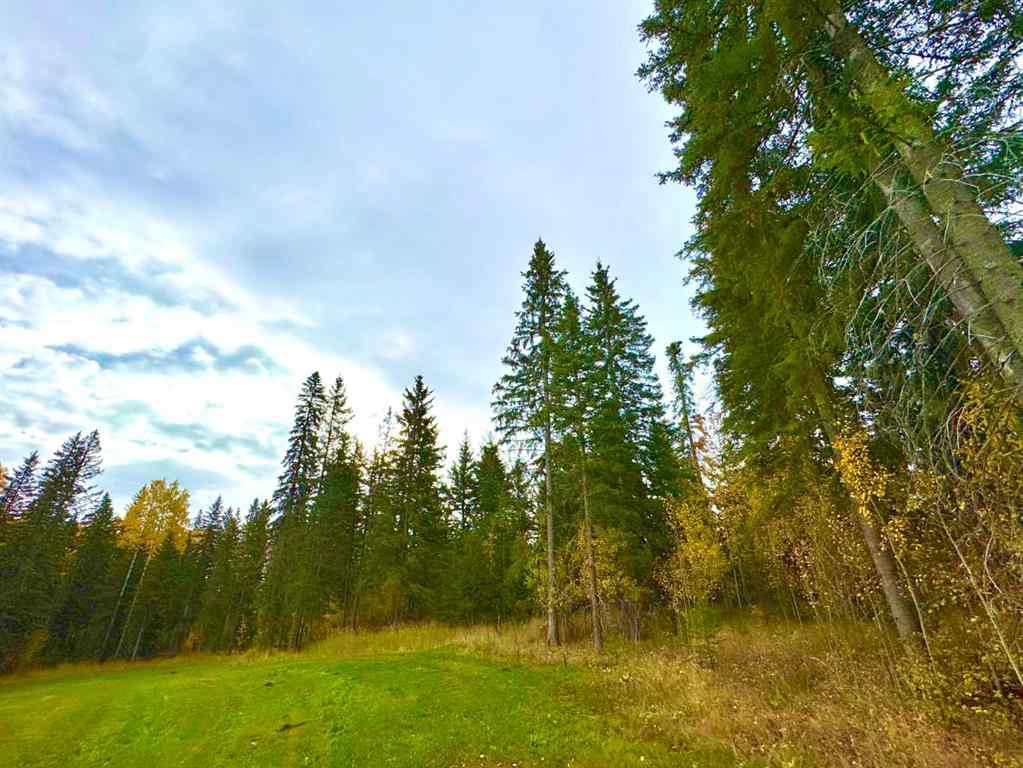 MLS® A2264724 - 156 Meadow Ponds Drive  in Diamond Willow Estates Rural Clearwater County, Land