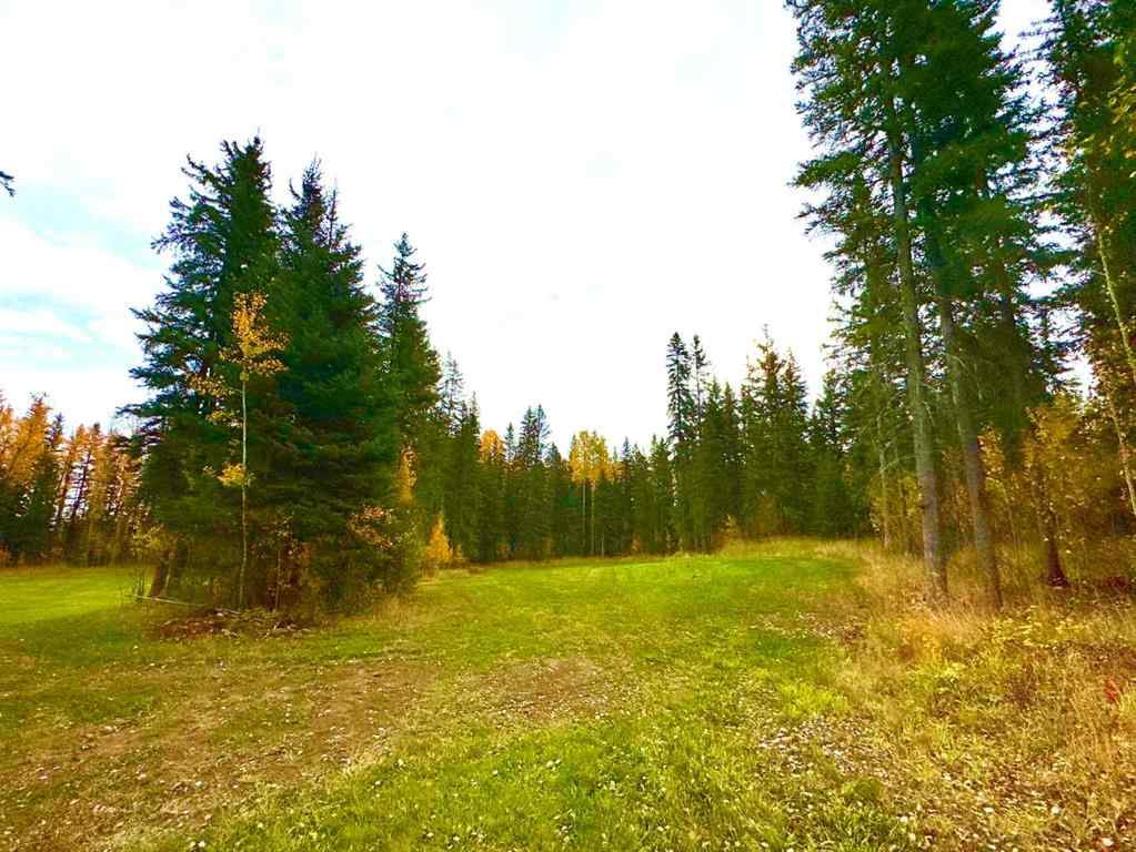 MLS® A2264724 - 156 Meadow Ponds Drive  in Diamond Willow Estates Rural Clearwater County, Land