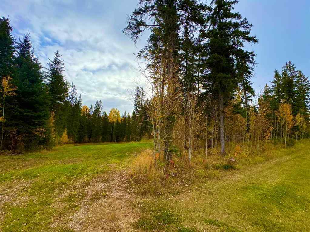MLS® A2264724 - 156 Meadow Ponds Drive  in Diamond Willow Estates Rural Clearwater County, Land