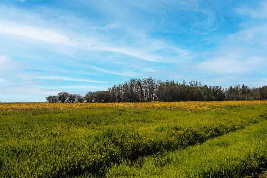 MLS® A2264806 -  RGE RD 292   in NONE Rural Rocky View County, Land