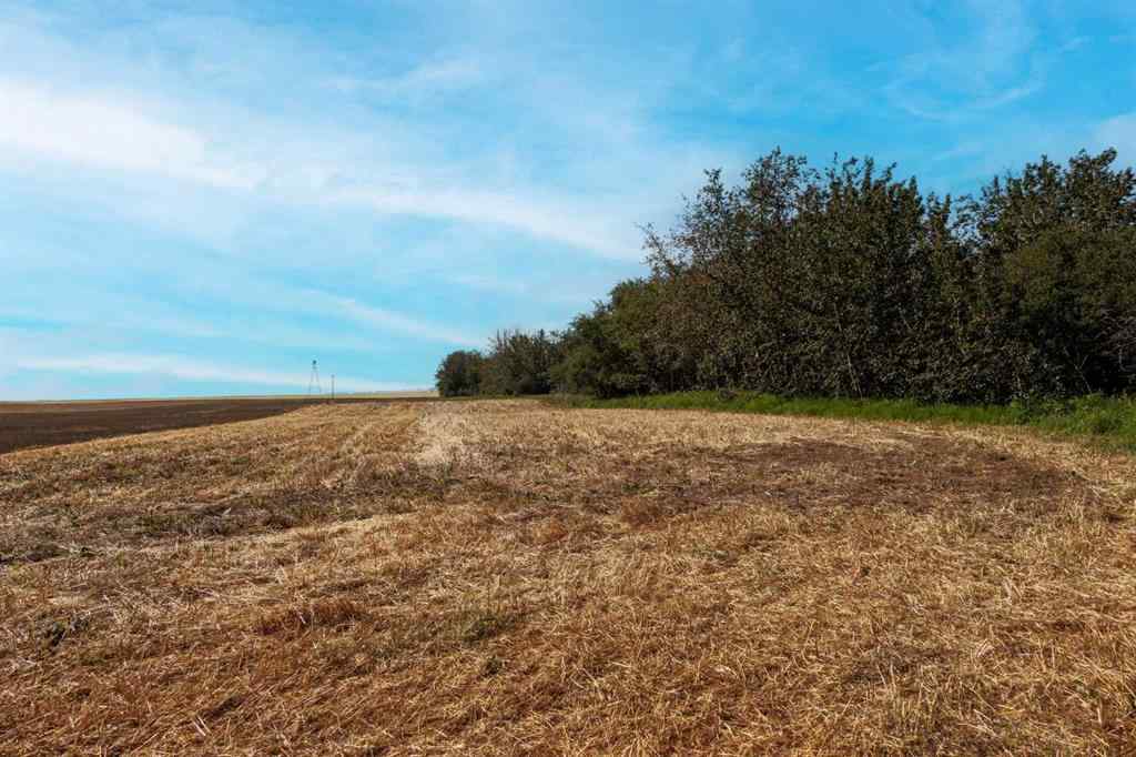 MLS® A2264806 -  RGE RD 292   in NONE Rural Rocky View County, Land
