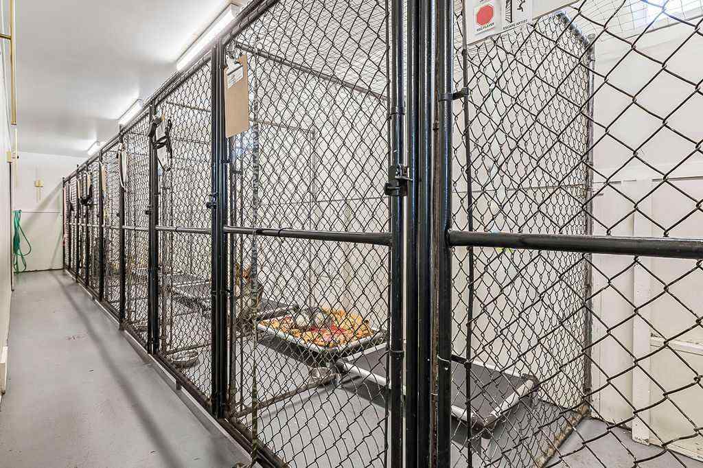 MLS® A2264864 - 434256 24 Street W in NONE Rural Foothills County, Residential