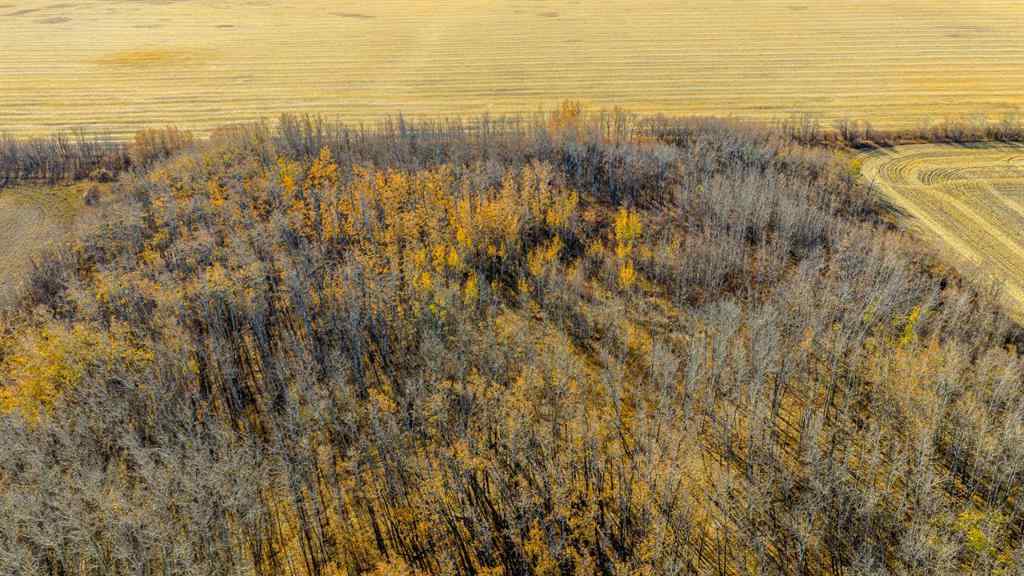 MLS® A2265046 - 6;3;72;7;W6 NW   in NONE Bezanson, Agri-Business