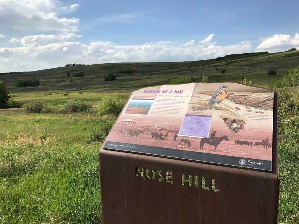 MLS® A2265069 - Unit #2511 3400 Edenwold Heights NW in Edgemont Calgary, Residential