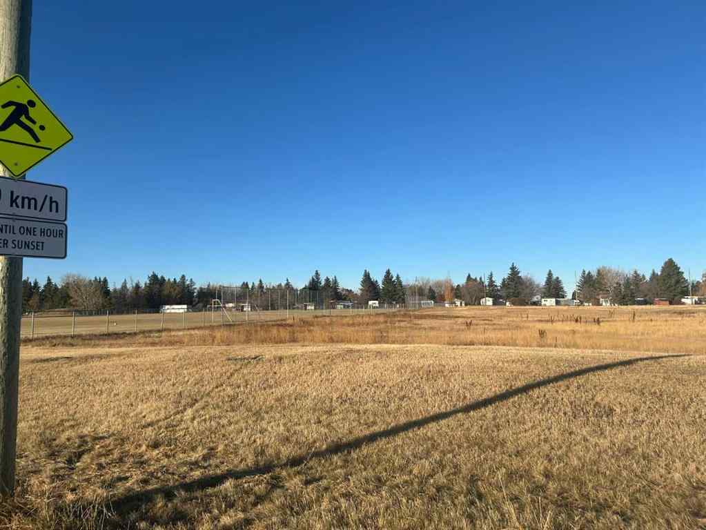 MLS® A2265085 - 711 11 Avenue NE   in NONE Three Hills, Land