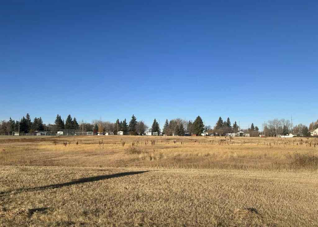 MLS® A2265085 - 711 11 Avenue NE   in NONE Three Hills, Land