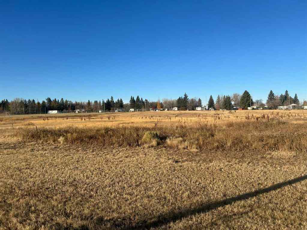 MLS® A2265085 - 711 11 Avenue NE   in NONE Three Hills, Land