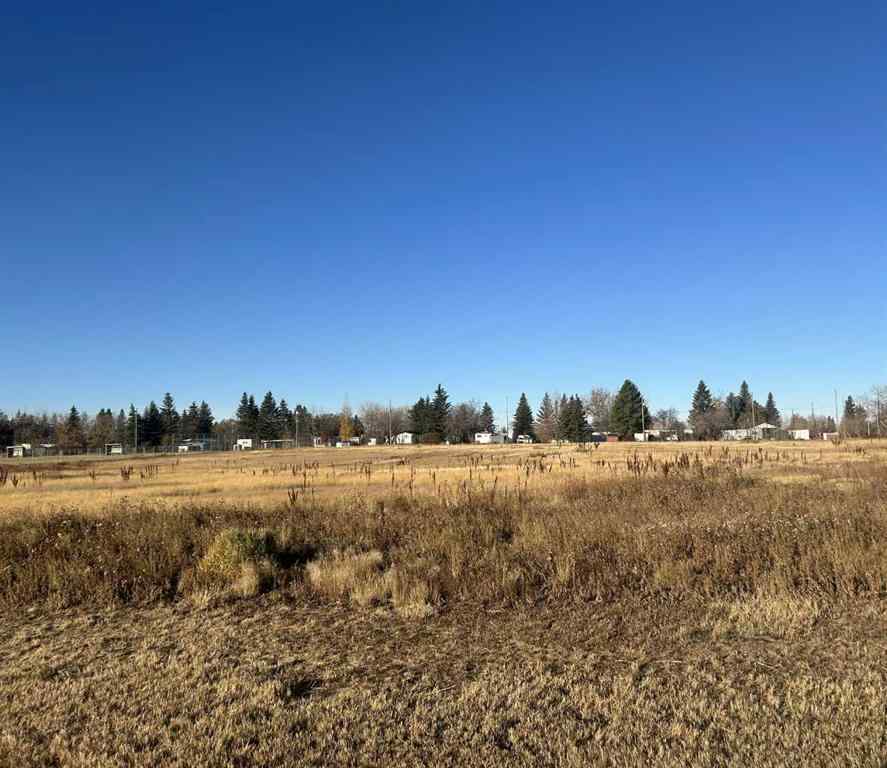 MLS® A2265085 - 711 11 Avenue NE   in NONE Three Hills, Land