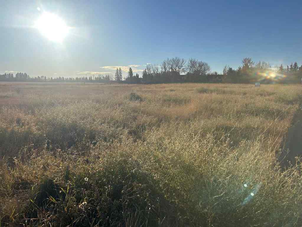 MLS® A2265092 - 700 11 Ave NE   in NONE Three Hills, Land