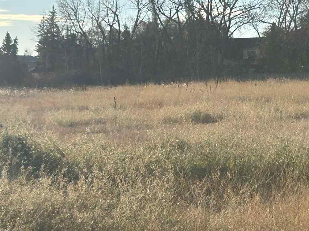 MLS® A2265092 - 700 11 Ave NE   in NONE Three Hills, Land