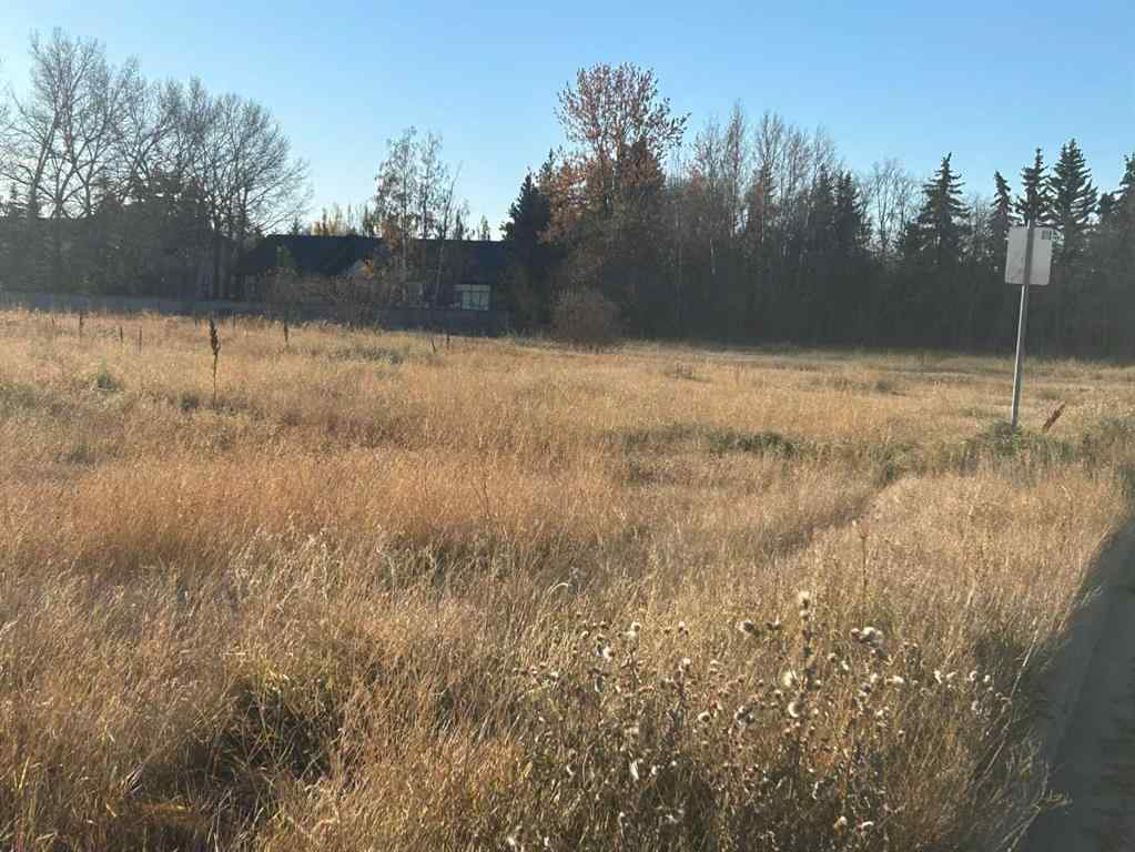 MLS® A2265092 - 700 11 Ave NE   in NONE Three Hills, Land