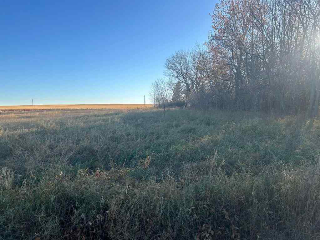 MLS® A2265092 - 700 11 Ave NE   in NONE Three Hills, Land