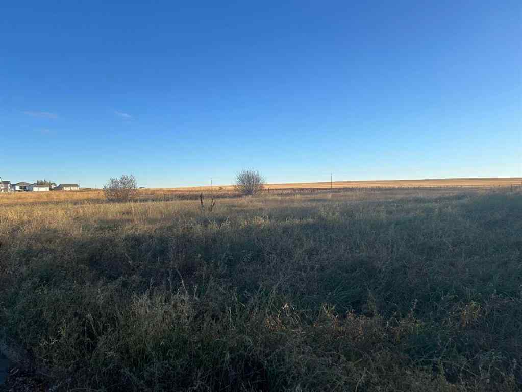 MLS® A2265092 - 700 11 Ave NE   in NONE Three Hills, Land