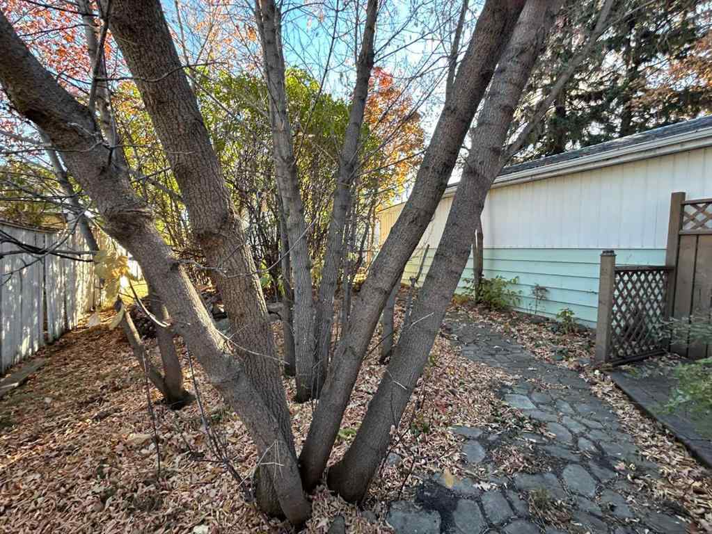 MLS® A2265289 - 4516 46 Street  in Augustana Camrose, Residential