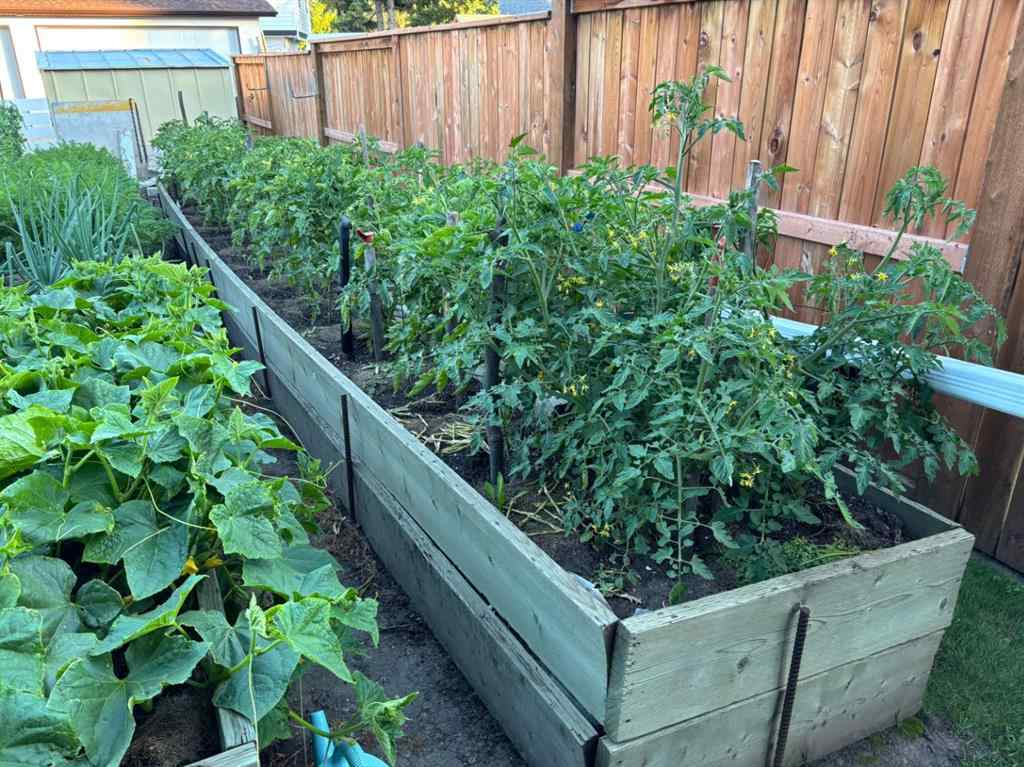 MLS® A2265300 - 23 Spencer Street  in Sunnybrook Red Deer, Residential